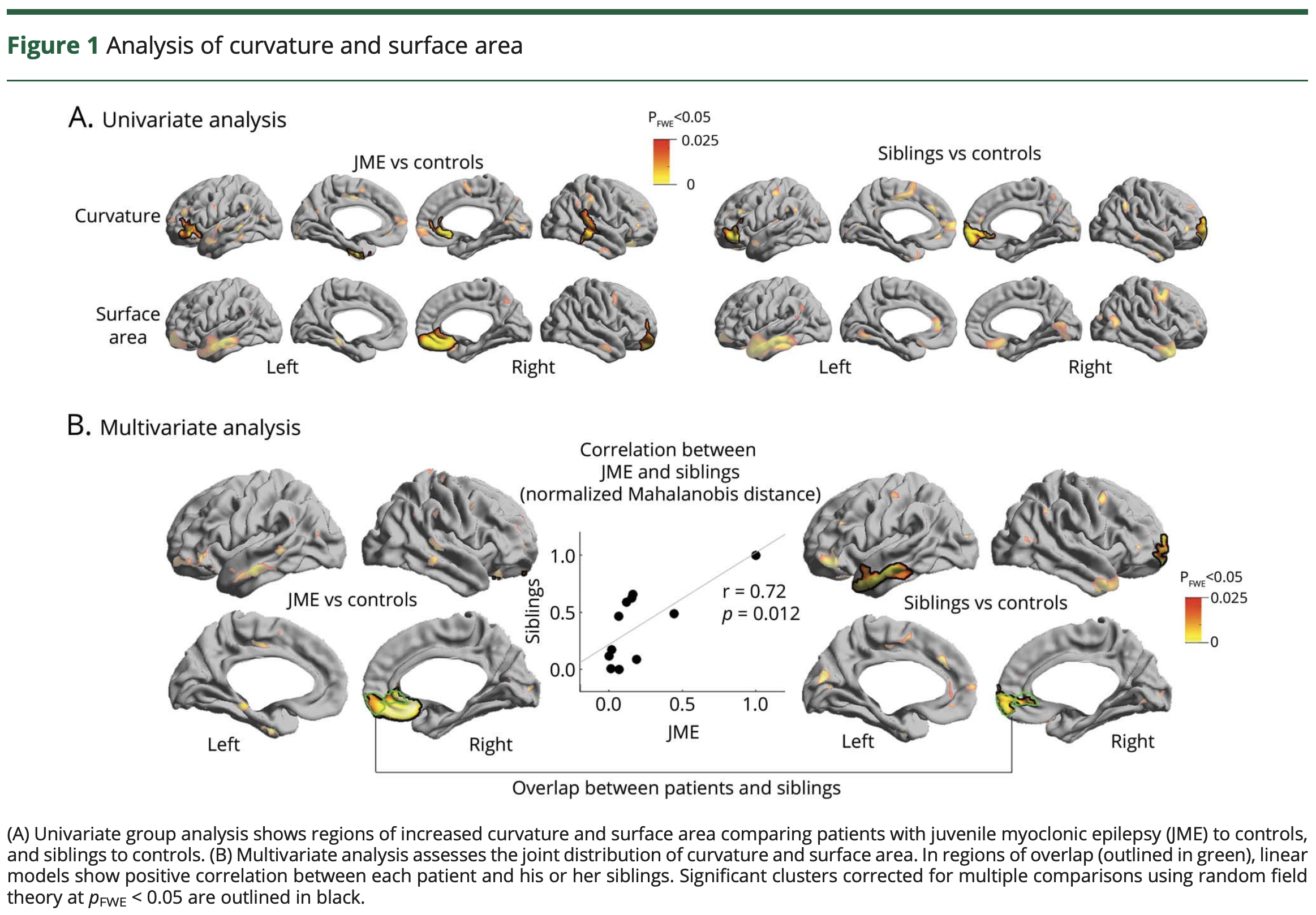 Neuroanatomical endophenotypes in Juvenile Myclonic Epilepsy